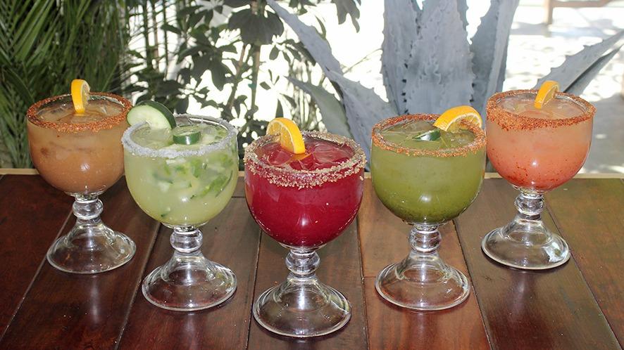 Plata Cocina Mexicana photo 2