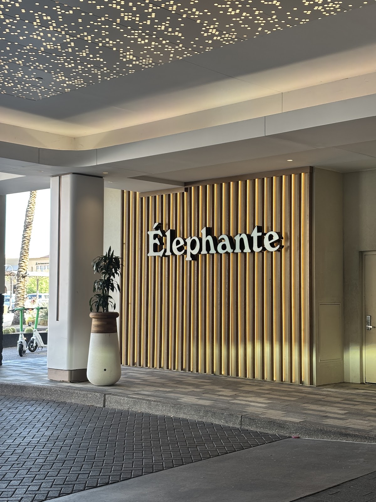 Elephante photo 1